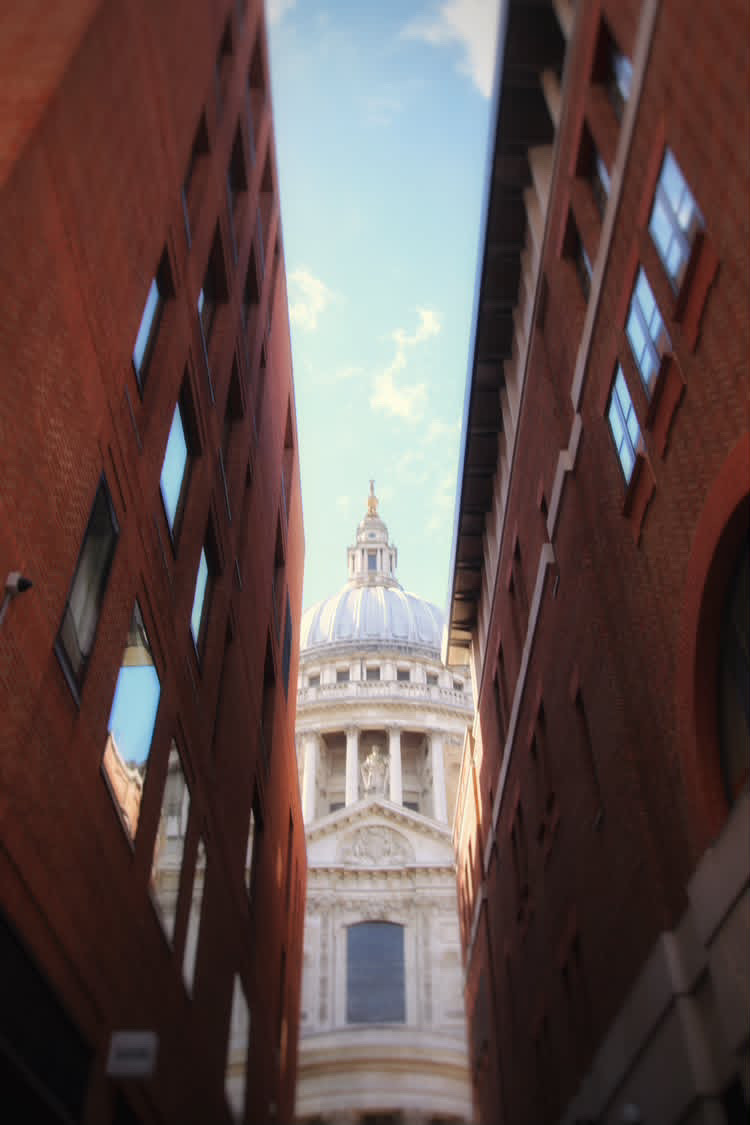 St Paul's Cathedral photographed by Louie Harrington